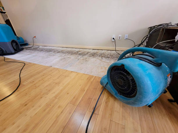 Professional Structural Drying technician working in Kensington, CT